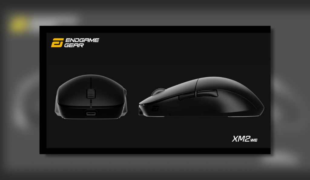 Endgame Gear XM2w Wireless Gaming Mouse - Black - us