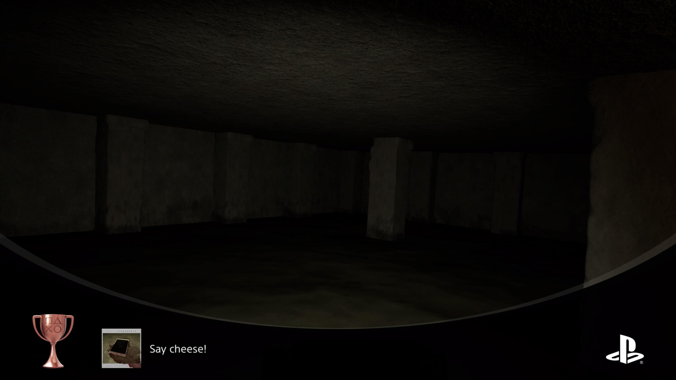 screenshot from Madison VR. say cheese achievement shown below and in the top right. the picture shows a small poorly lit room with water up to the waist and two white pillars supporting the ceiling.